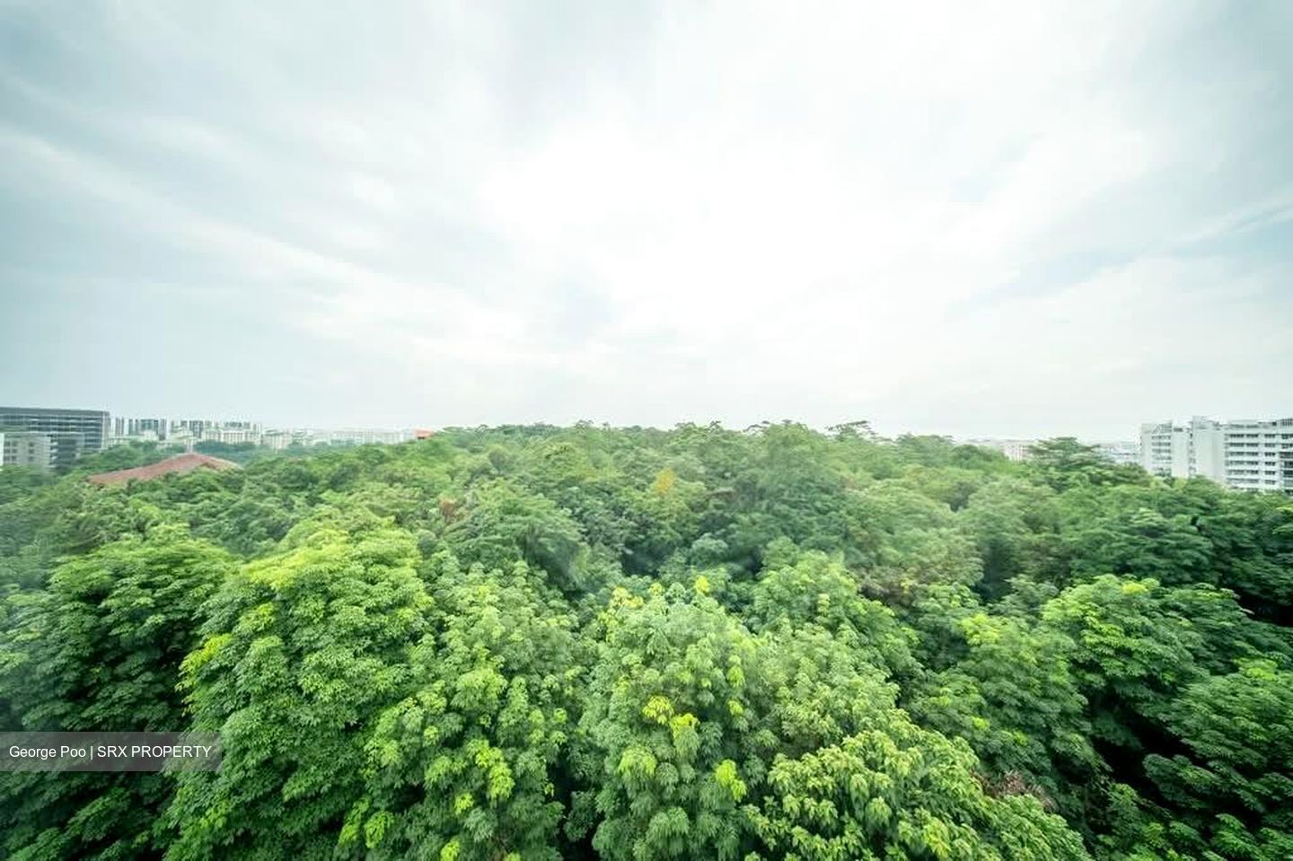 Blk 677B Park Grove @ Yishun (Yishun), HDB 5 Rooms #583880991